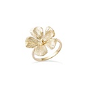 [2212HX0310CH-50] ANILLO KALA GOLDEN (10)