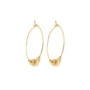 [112665500ch] Criollas Altea II golden